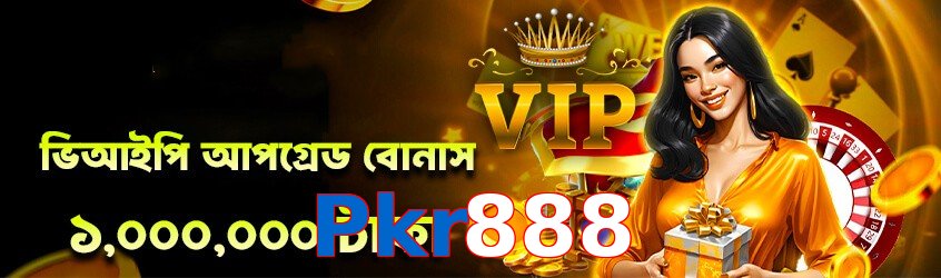 Pkr888 interface sample